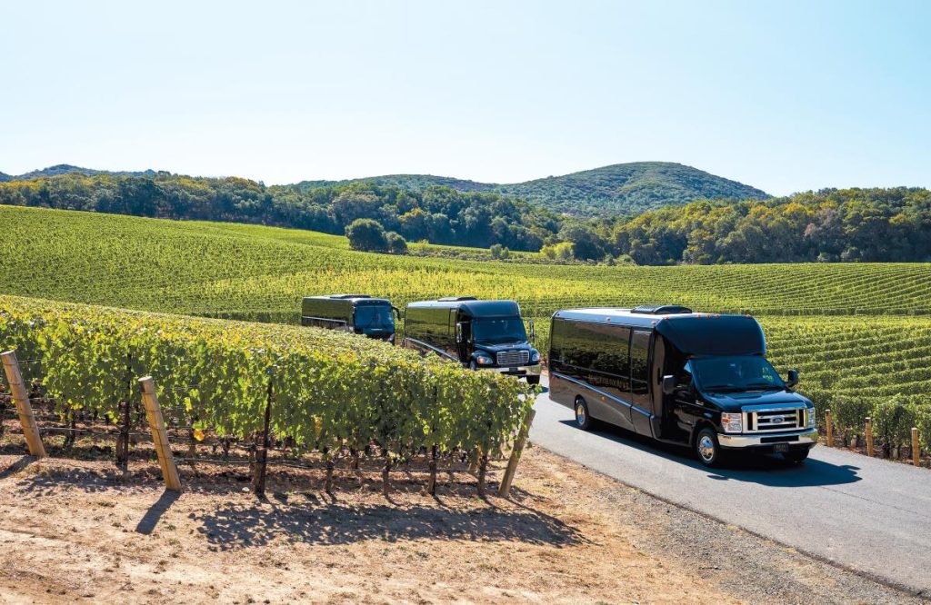 Buses shuttling tourists in Temecula valley wine country.