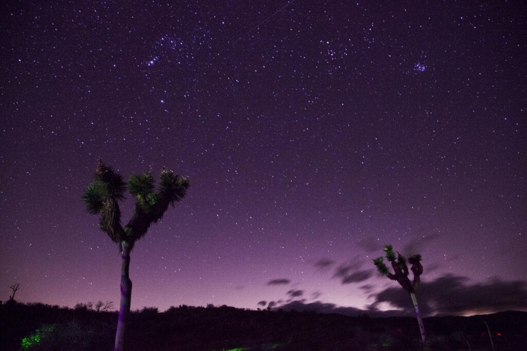 Night Stargazing ride through Joshua Tree National Park.